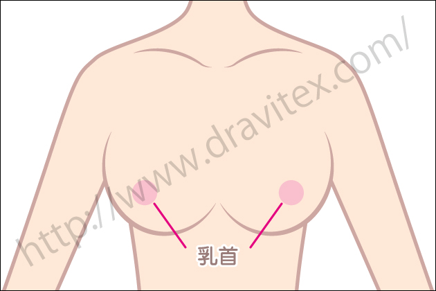 �A�_���g�O�b�Y�Őӂ߂鏗���̐����тƂ́H�̂̕��ʂ��ƂɏЉ�