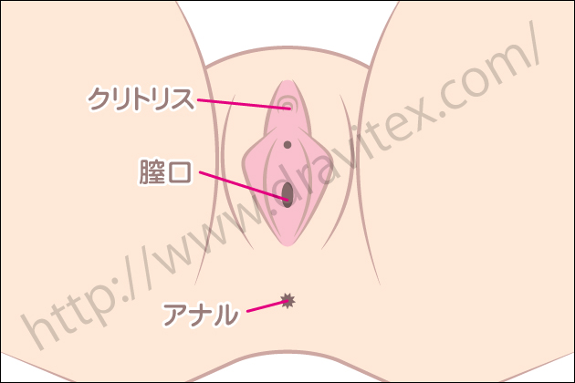 �o�C�u���[�^�[�̎�ނƑI�ѕ��I�h���Ǝg�����őI�ԃo�C�u�̎�ނƂ́H