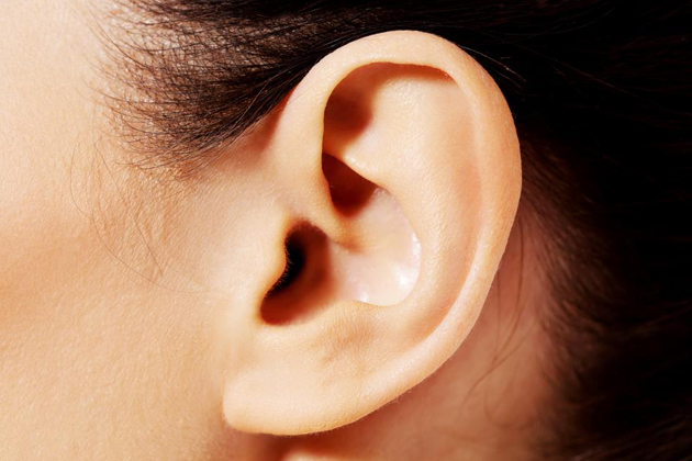 �o�C�u���[�^�[�̎�ނƑI�ѕ��I�h���Ǝg�����őI�ԃo�C�u�̎�ނƂ́H