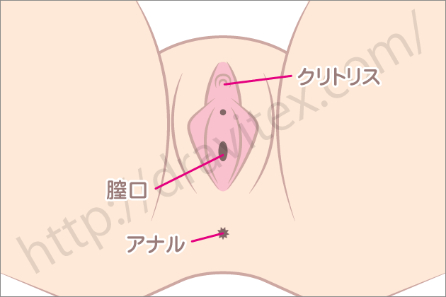 �������v���C�I�������v���C�̕��@�E�v���C�ꏊ�E��l�̂�������